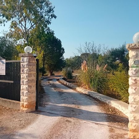 Villa Il Leccio - Trulli 奇斯泰尼诺 外观 照片