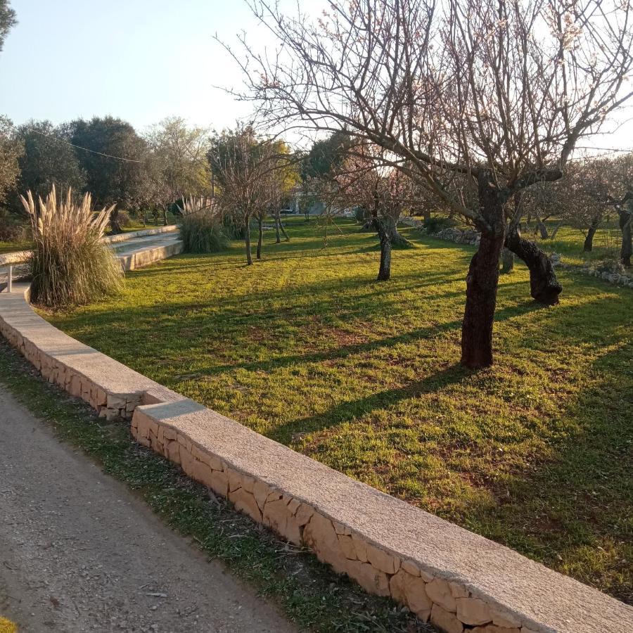 Villa Il Leccio - Trulli 奇斯泰尼诺 外观 照片