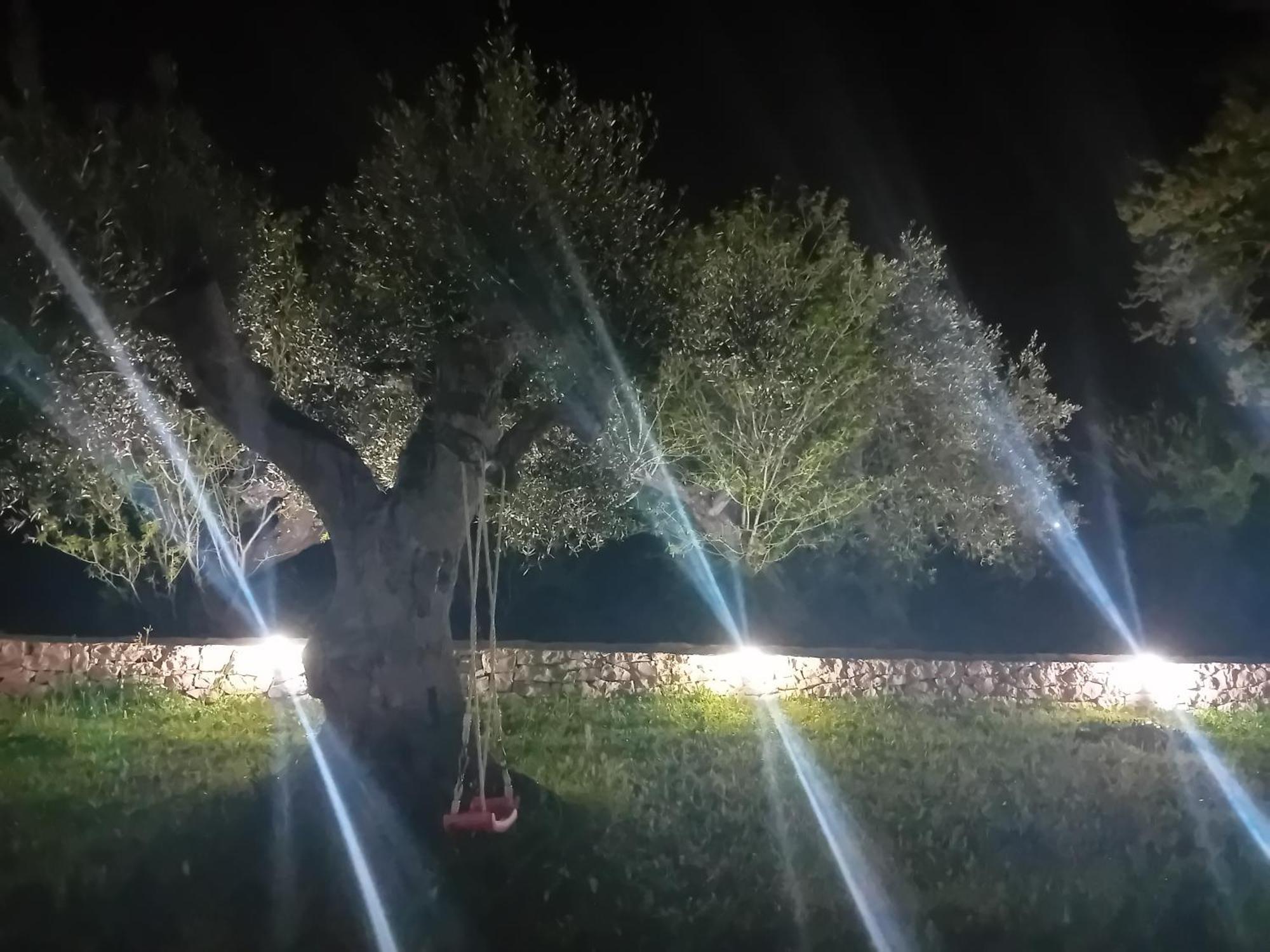 Villa Il Leccio - Trulli 奇斯泰尼诺 外观 照片