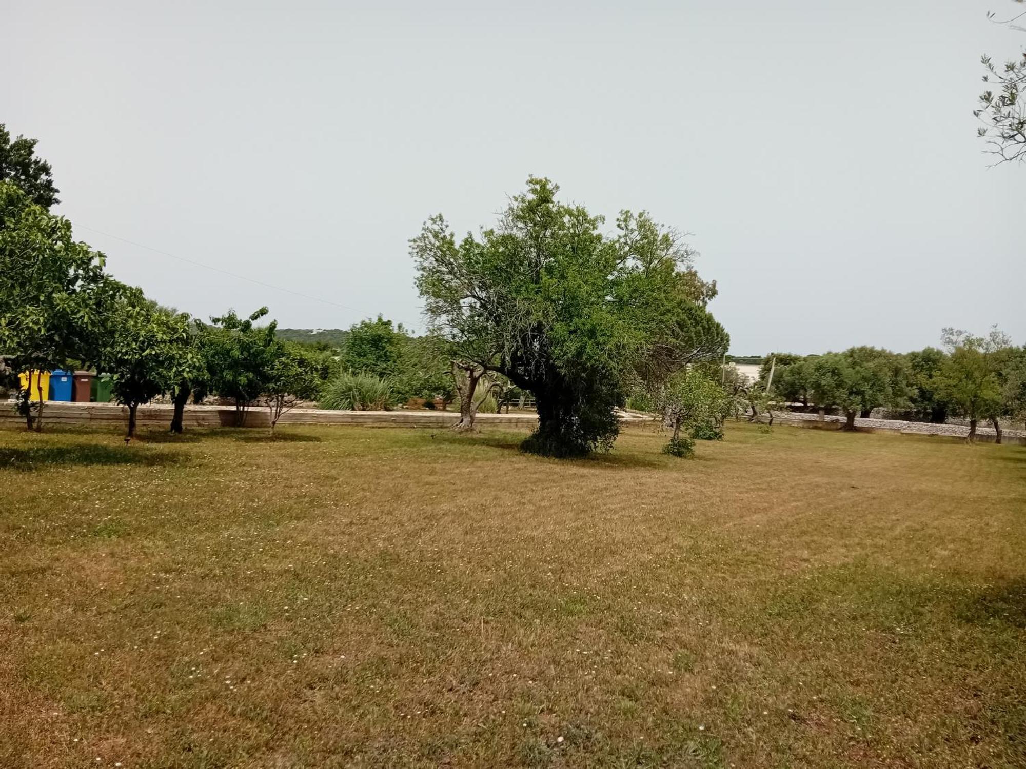 Villa Il Leccio - Trulli 奇斯泰尼诺 外观 照片