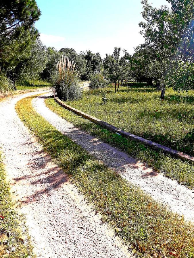 Villa Il Leccio - Trulli 奇斯泰尼诺 外观 照片